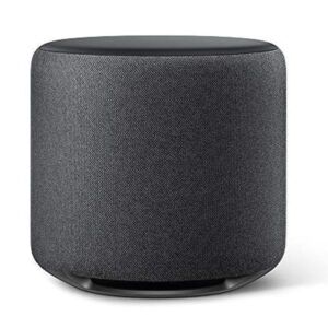 Alexa Echo Sub
