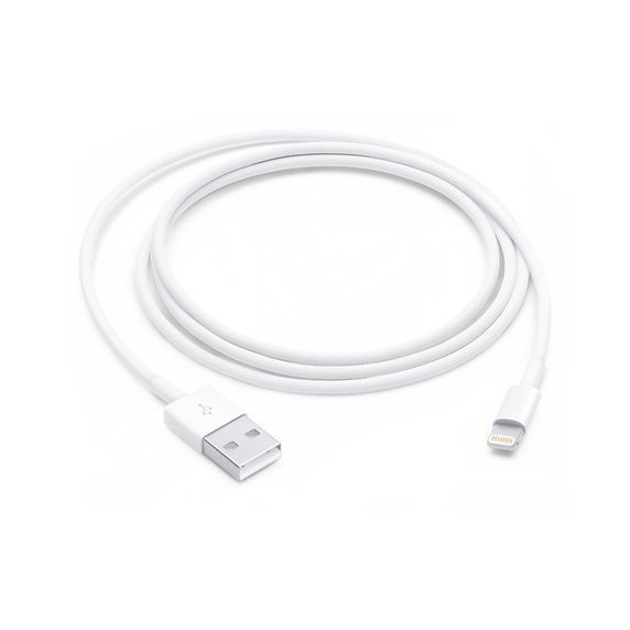 CABLE LIGHTNING A USB 2MT APPLE