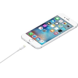 CABLE LIGHTNING A USB 2MT APPLE