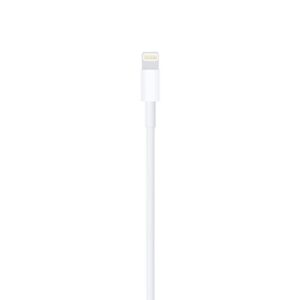 CABLE LIGHTNING A USB 2MT APPLE