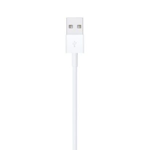 CABLE LIGHTNING A USB 2MT APPLE