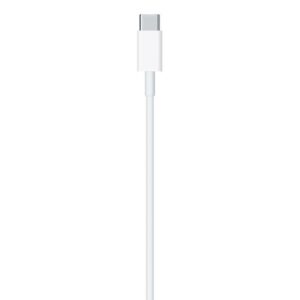 CABLE LIGHTNING A USB TIPO C 1MT APPLE